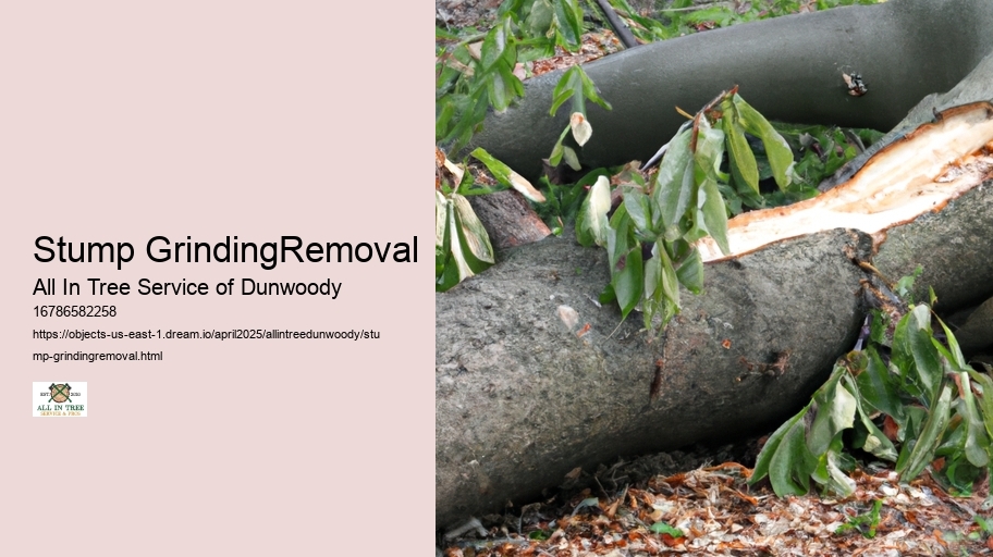 Stump GrindingRemoval