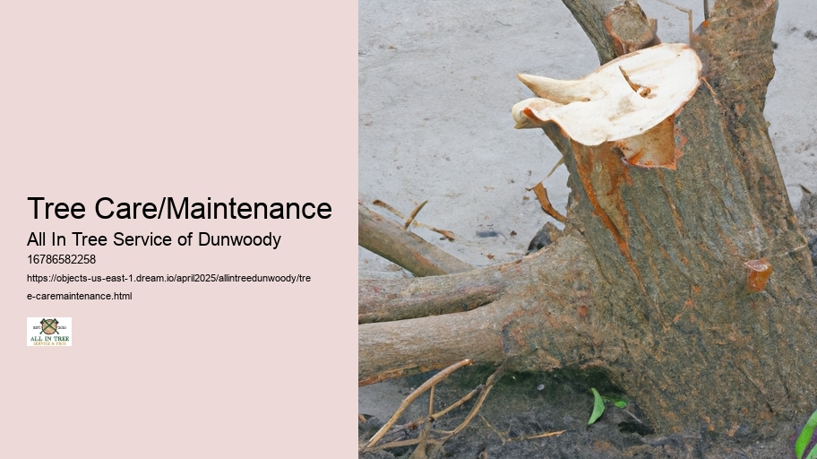 Tree Care/Maintenance