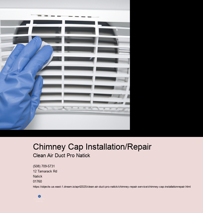 Chimney Cap Installation/Repair