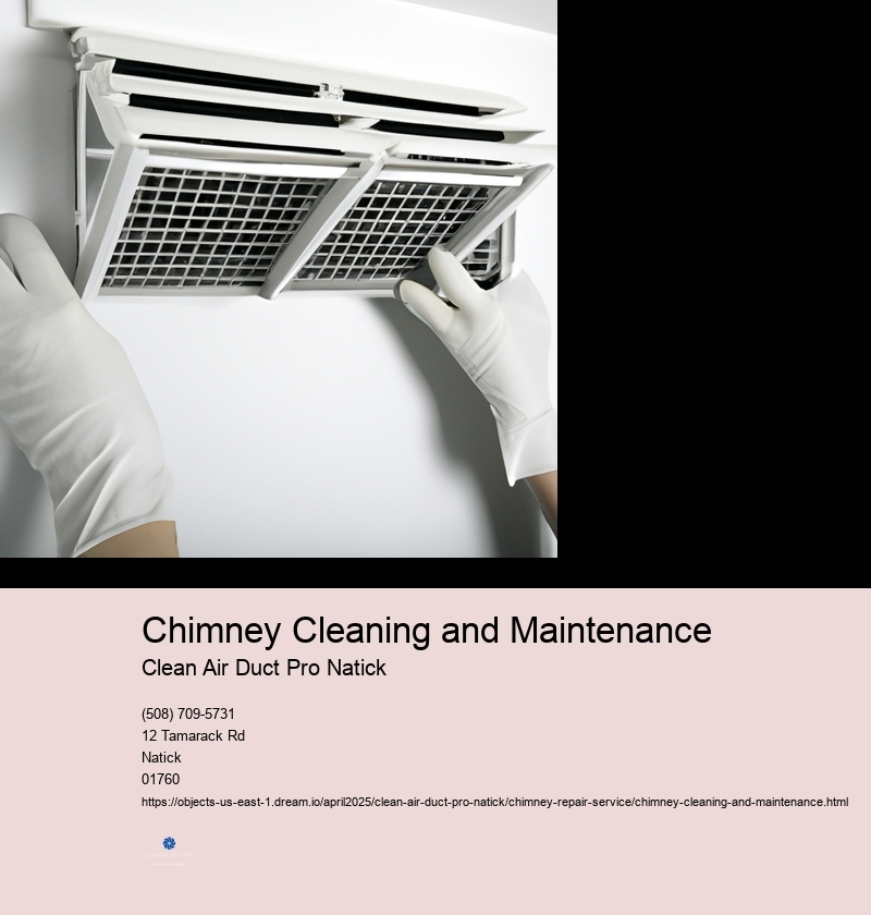 Chimney Cleaning and Maintenance