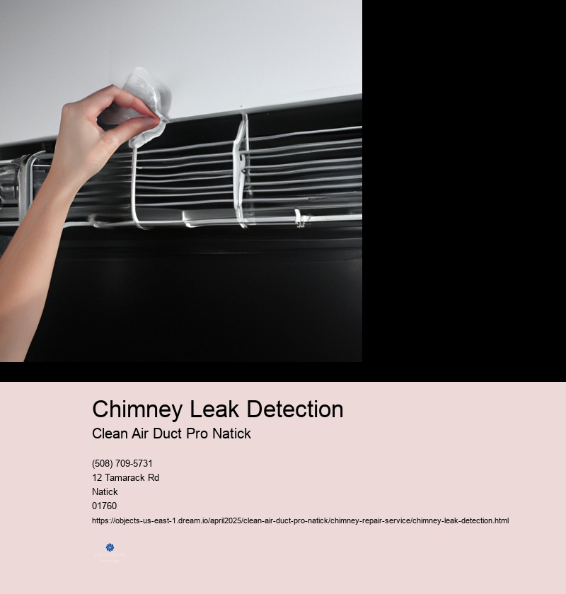 Chimney Leak Detection