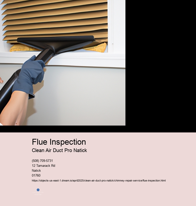 Flue Inspection