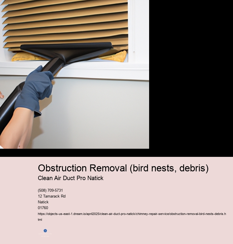 Obstruction Removal (bird nests, debris)