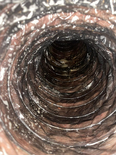 Choosing a Qualified Dryer Vent Technician in Apollo Beach