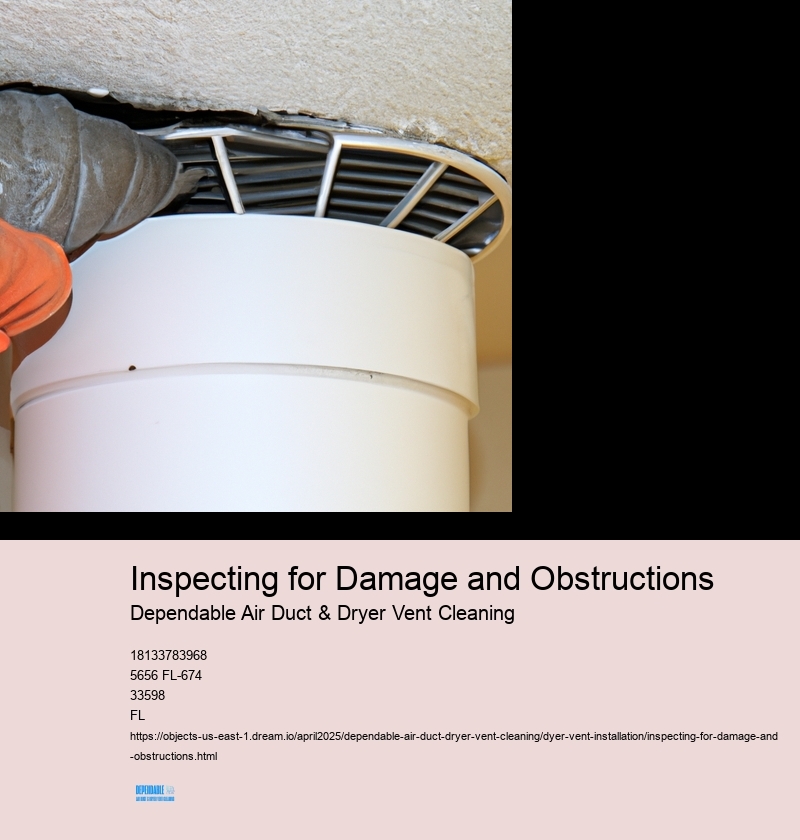 Inspecting for Damage and Obstructions