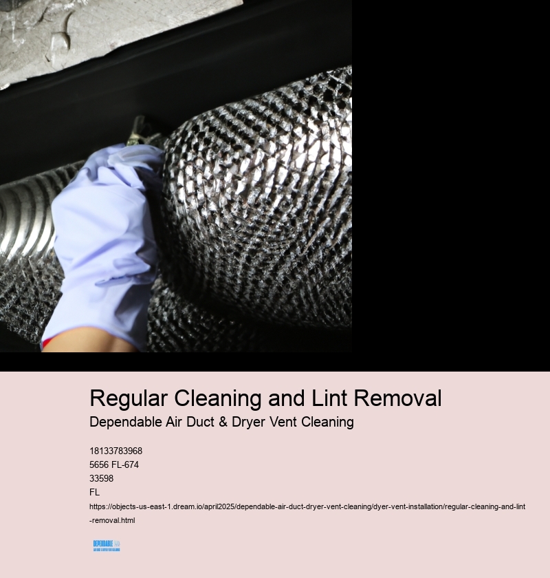 Regular Cleaning and Lint Removal