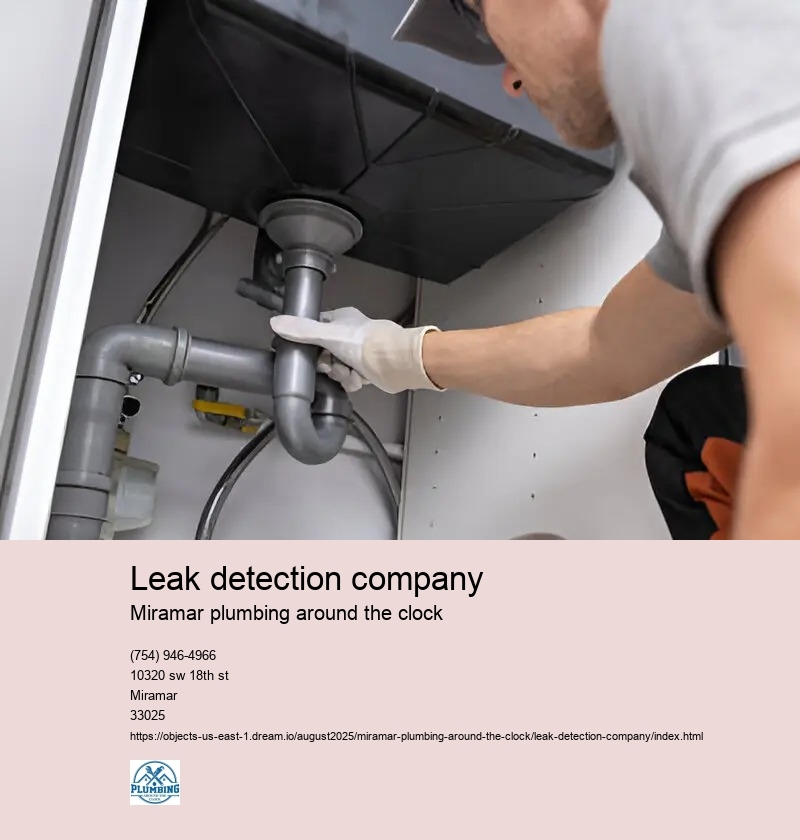 Leak detection company