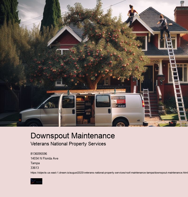 Downspout Maintenance
