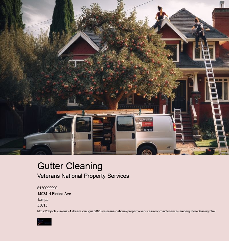 Gutter Cleaning