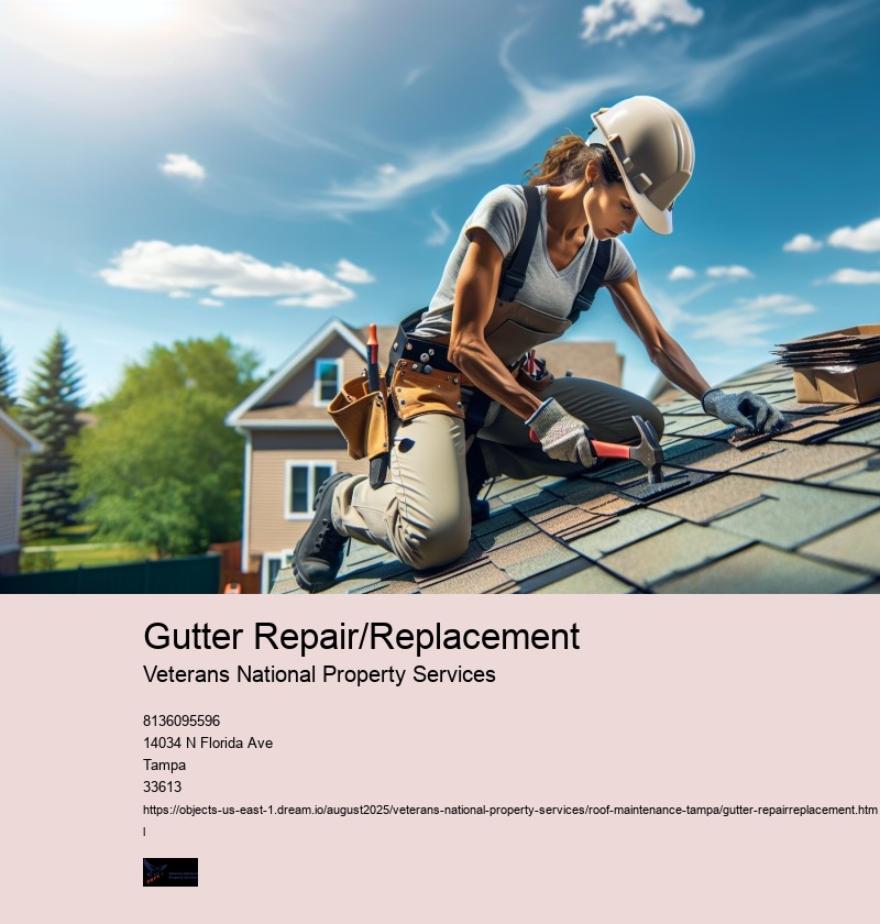 Gutter Repair/Replacement