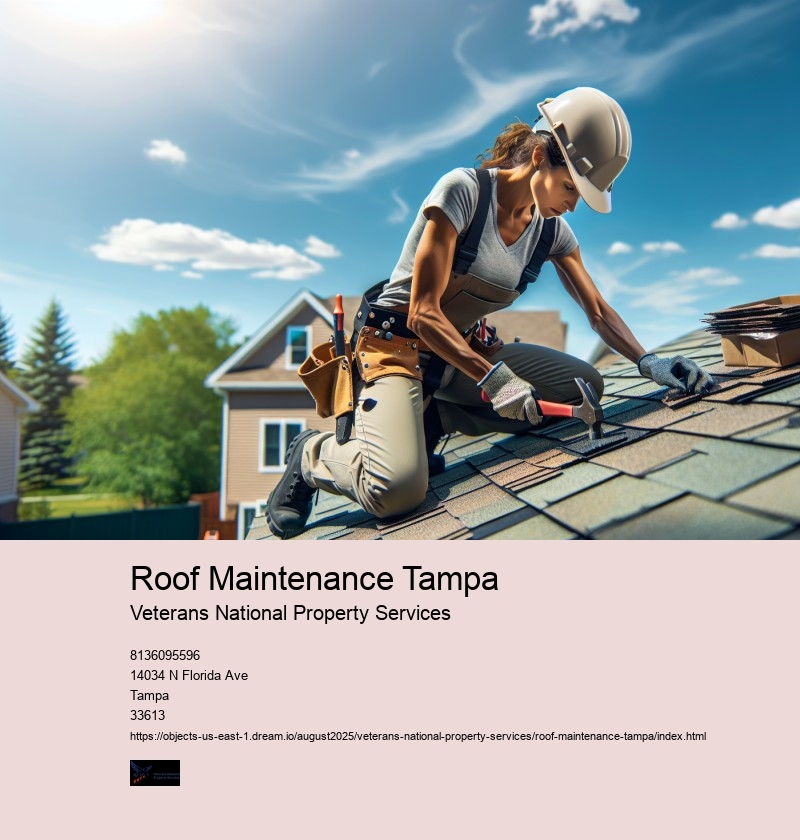 Roof Maintenance Tampa