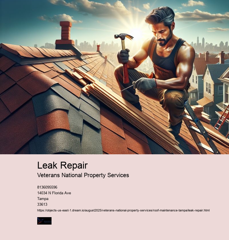 Leak Repair