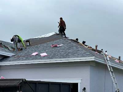 DIY Gutter Cleaning vs. Professional Services