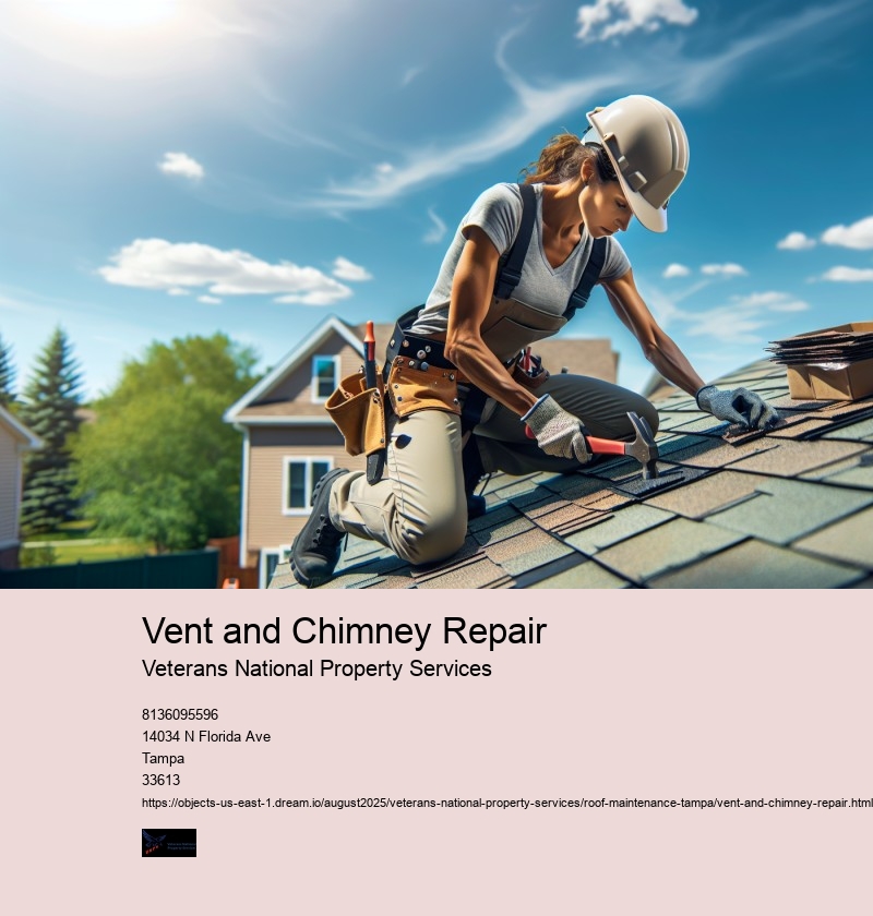 Vent and Chimney Repair