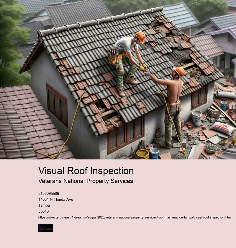 Visual Roof Inspection