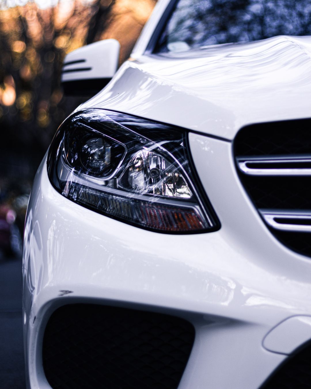 Basic maintenance tasks included in regular service intervals