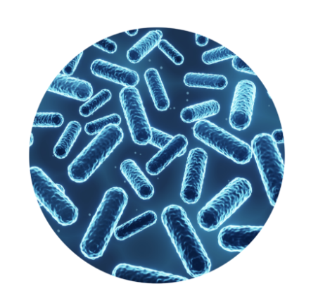 how to choose a berberine supplement