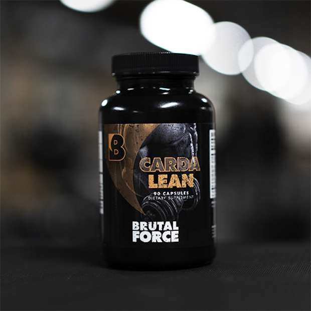 best yogurt brand for bulking