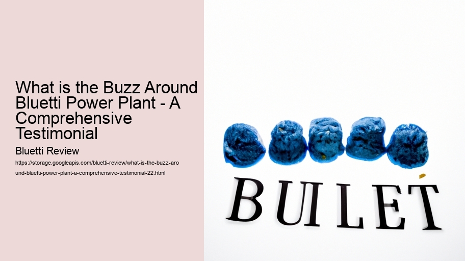 What is the Buzz Around Bluetti Power Plant - A Comprehensive Testimonial
