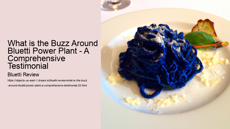 What is the Buzz Around Bluetti Power Plant - A Comprehensive Testimonial