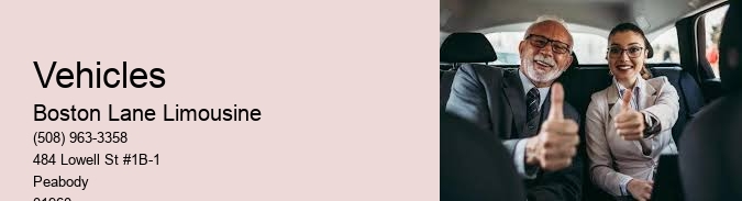 Boston Lane Limousine, Service