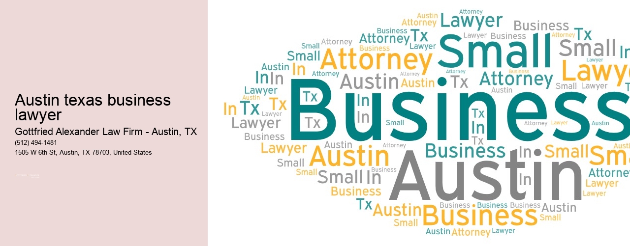 Austin texas business lawyer