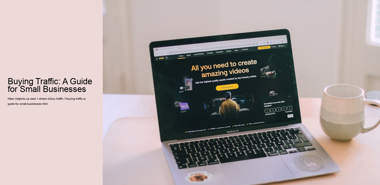 Buying Traffic: A Guide for Small Businesses