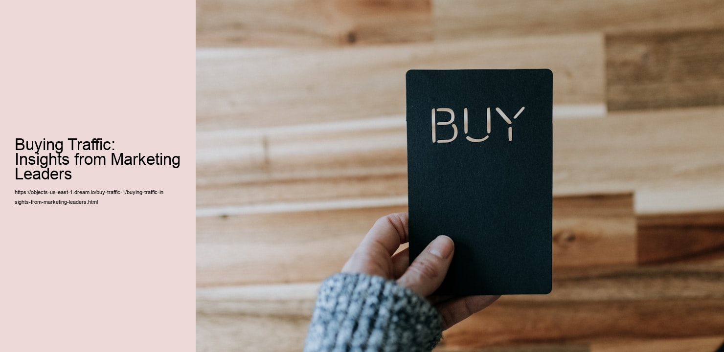 Buying Traffic: Insights from Marketing Leaders