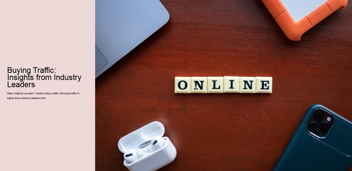 Buying Traffic: Insights from Industry Leaders