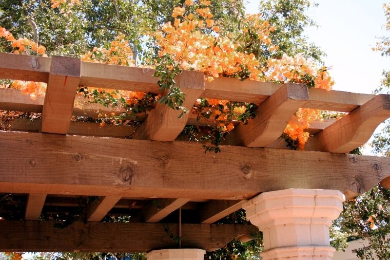 mini pergola