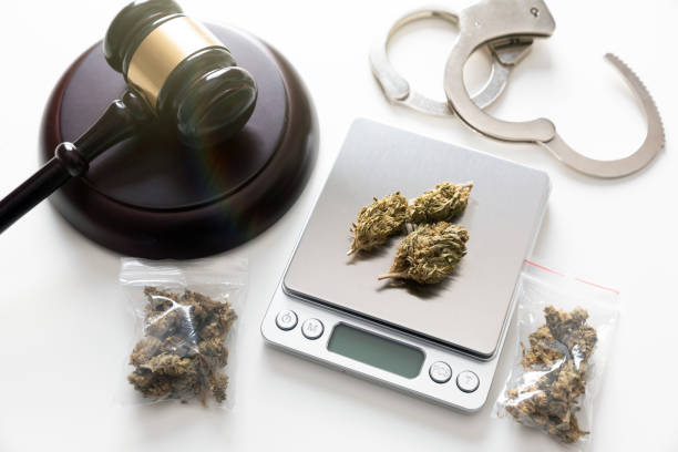 Recreational Weed Update in Denver