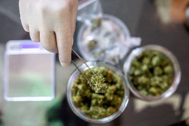 Best Medical Card Dispensary in Boulder