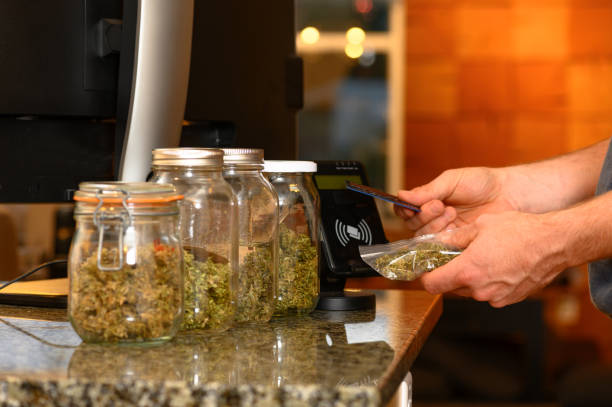 What is the Best Recreational Dispensary in Boulder