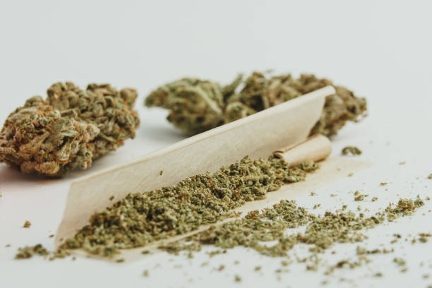 What is the Best Recreational Dispensary in Boulder