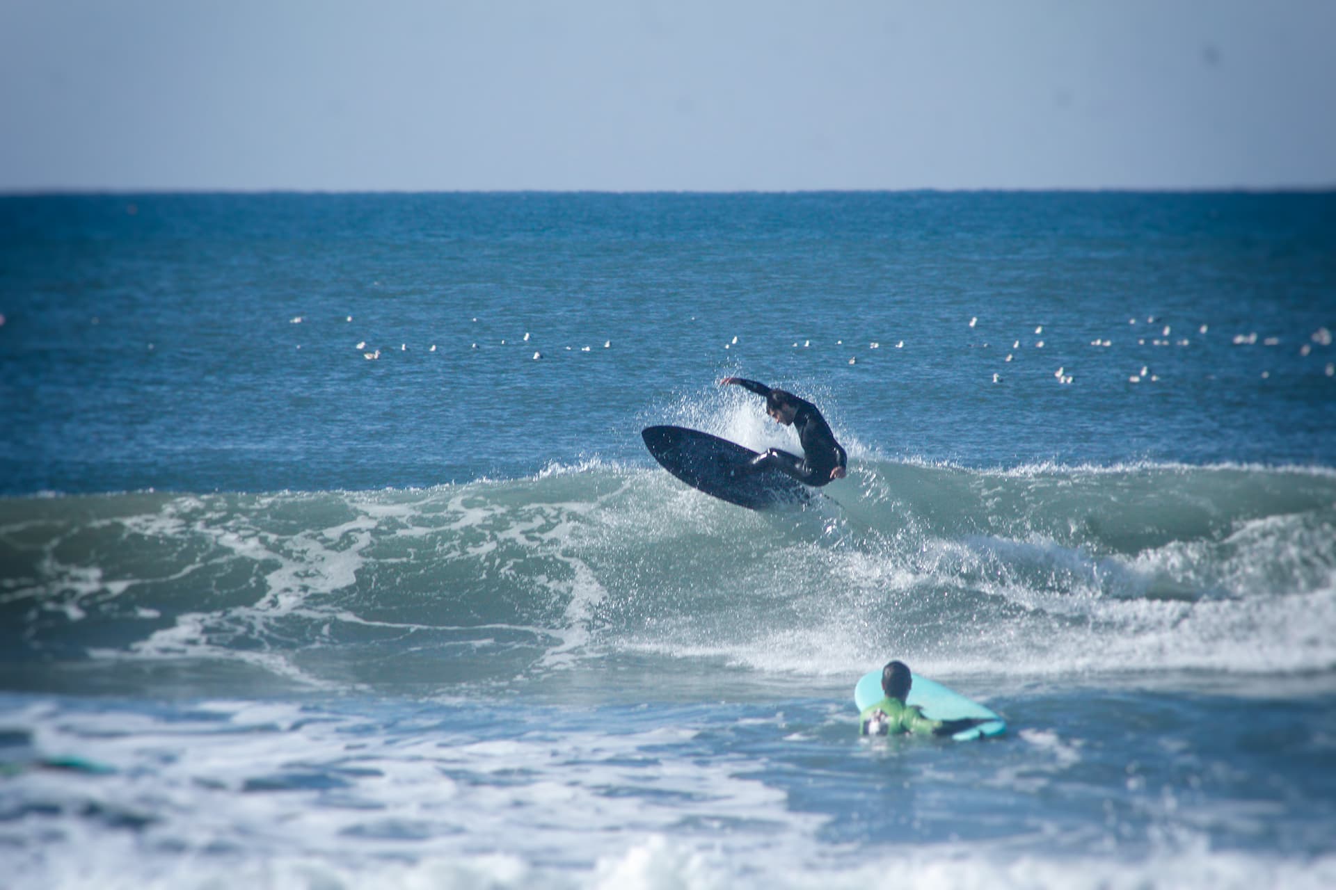 Shortboards 