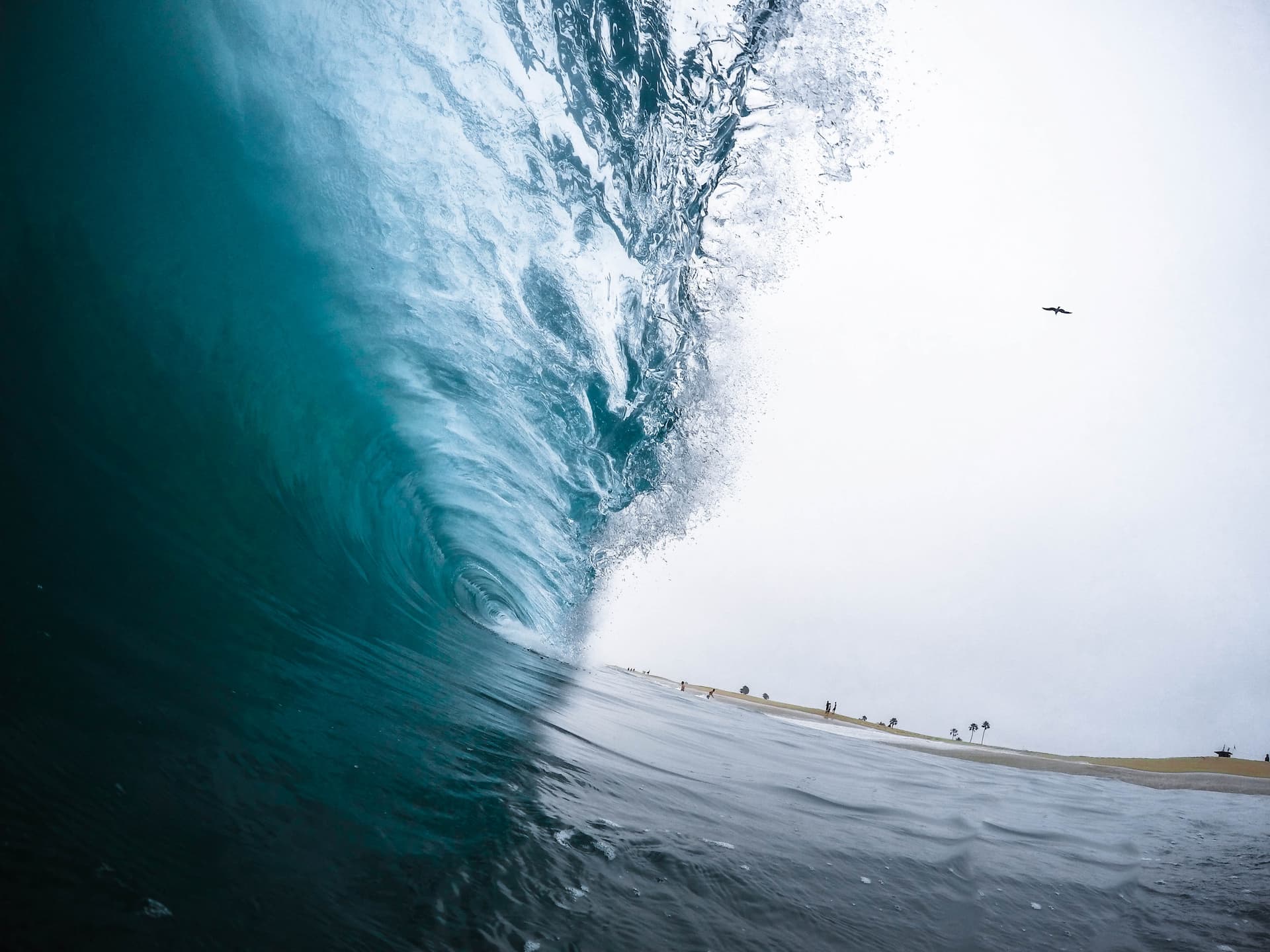 Best surf 