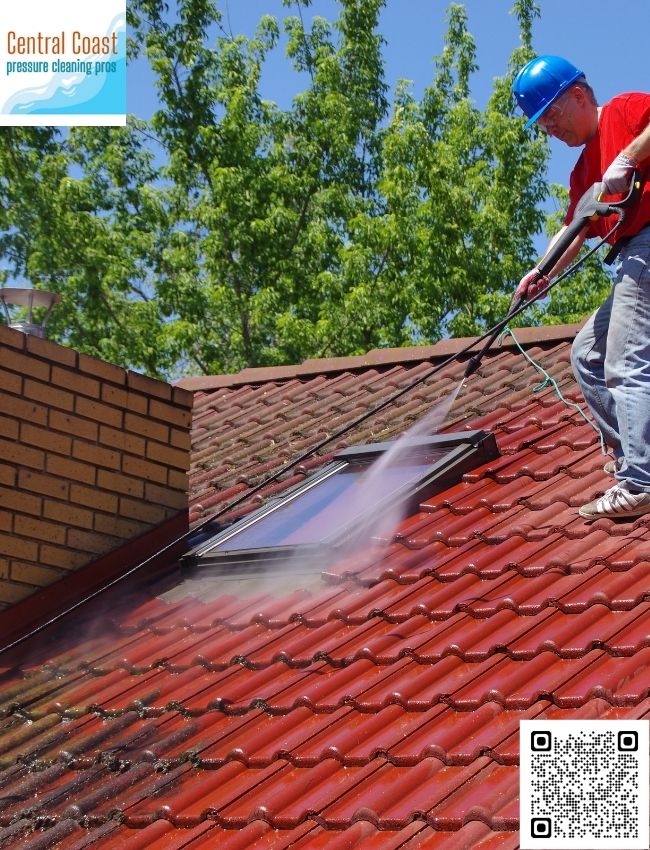 Where can I get customized cleaning plans in The Entrance?