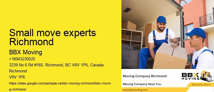Small move experts Richmond