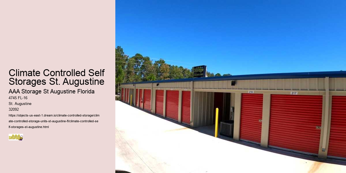 St. Augustine Self-Storage vs. Home Clutter: Making the Right Choice