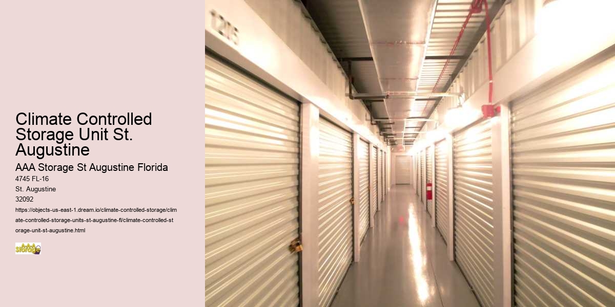 Self-Storage and Home Office Organization in St. Augustine