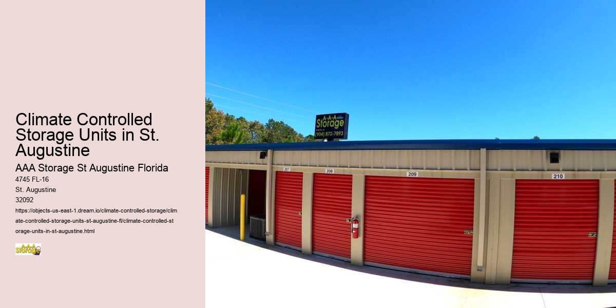 Decluttering Your Life: A Step-by-Step Guide to Self-Storage in St. Augustine