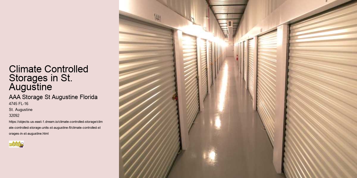 Self-Storage for Musicians: Safeguarding Your Instruments in St. Augustine