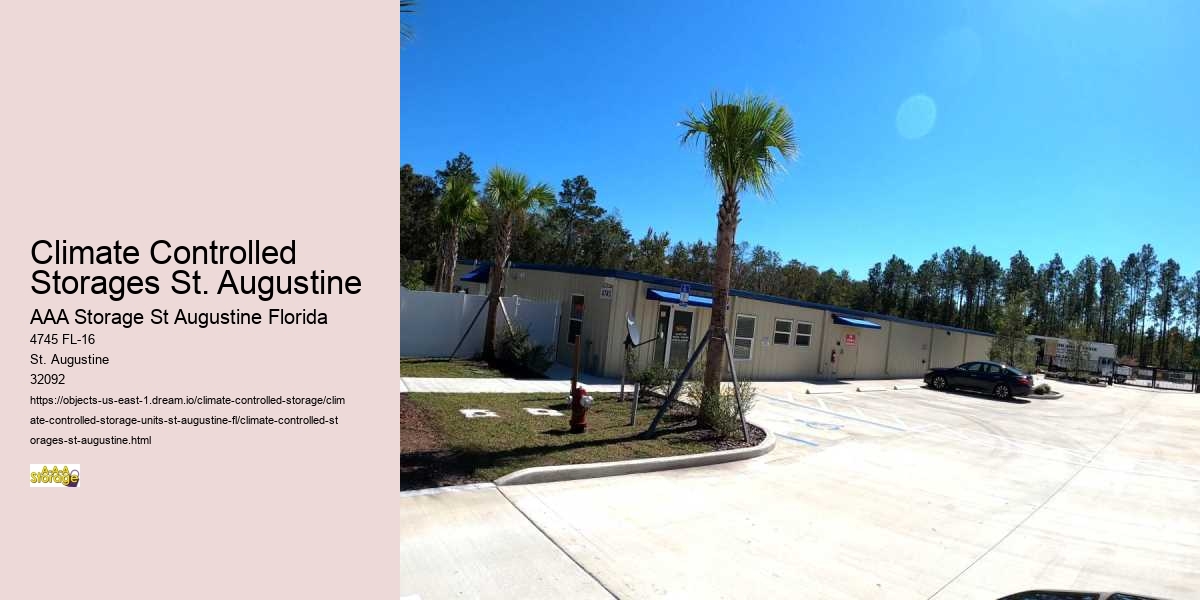 Exploring St. Augustine's Natural Wonders