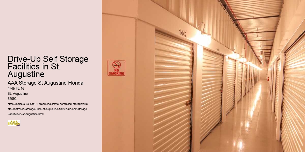 St. Augustine Self-Storage vs. Home Clutter: Making the Right Choice