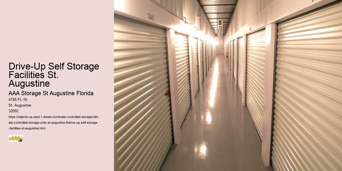 Document Storage: Organizing Your Files in St. Augustine