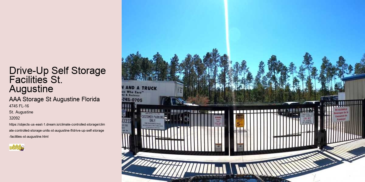 St. Augustine's Educational Excellence: Schools and Beyond