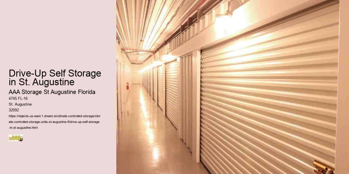 Sports Gear and Self-Storage: A Winning Combination in St. Augustine