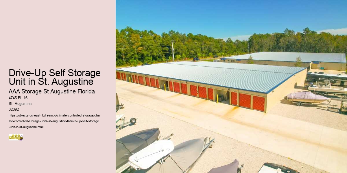 St. Augustine's Fitness and Wellness Scene