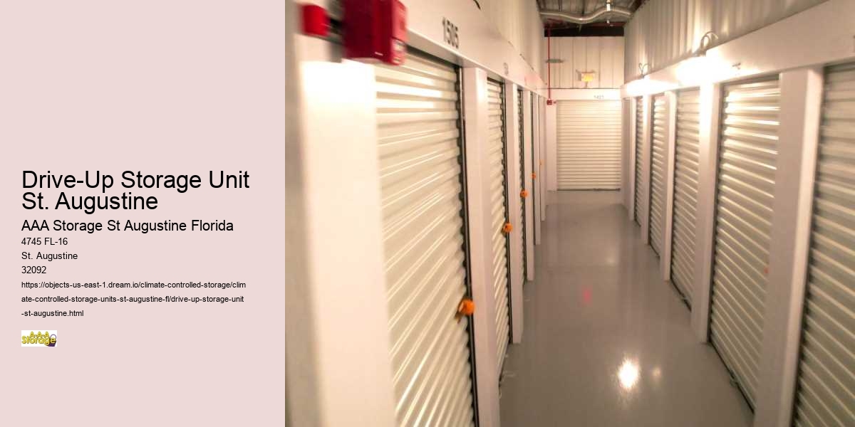 Decluttering Your Life: A Step-by-Step Guide to Self-Storage in St. Augustine