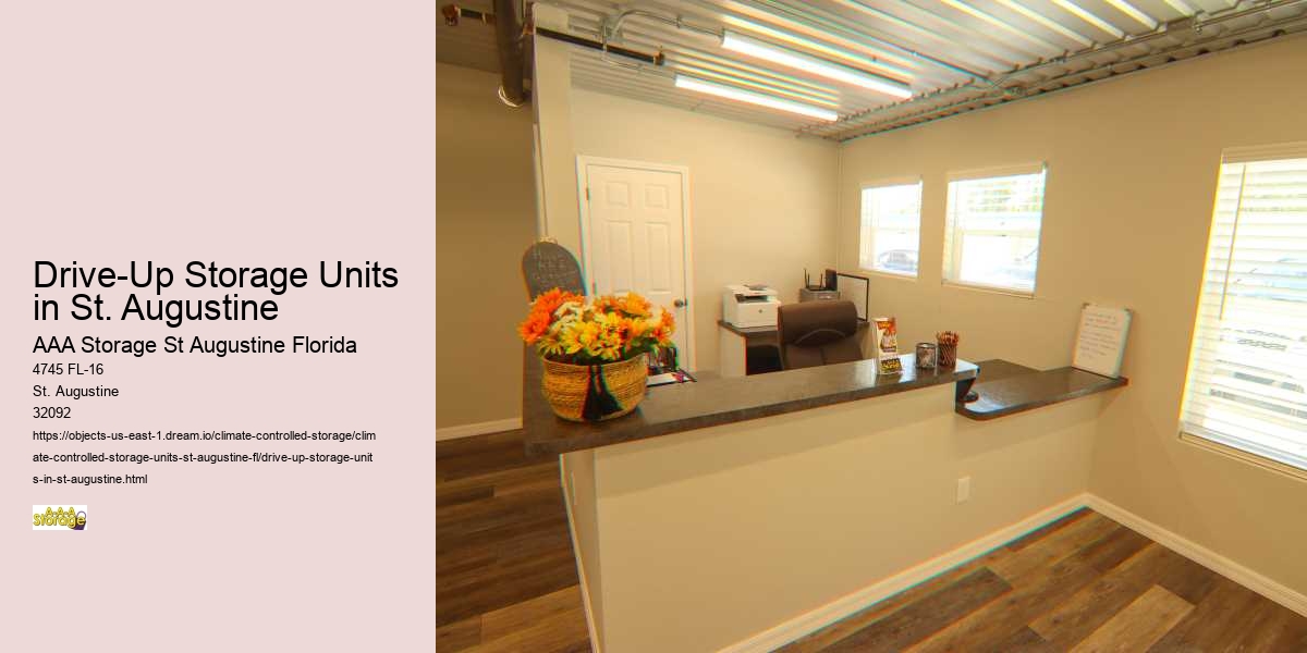 Healthcare in St. Augustine: Access and Quality